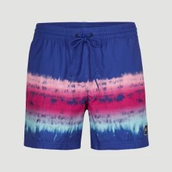 O'Neill MENS HORIZON SHORTS