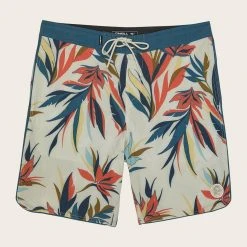 O'Neill QUARTERS CRUZER