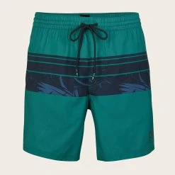 O'Neill CALI STRIPE SHORTS