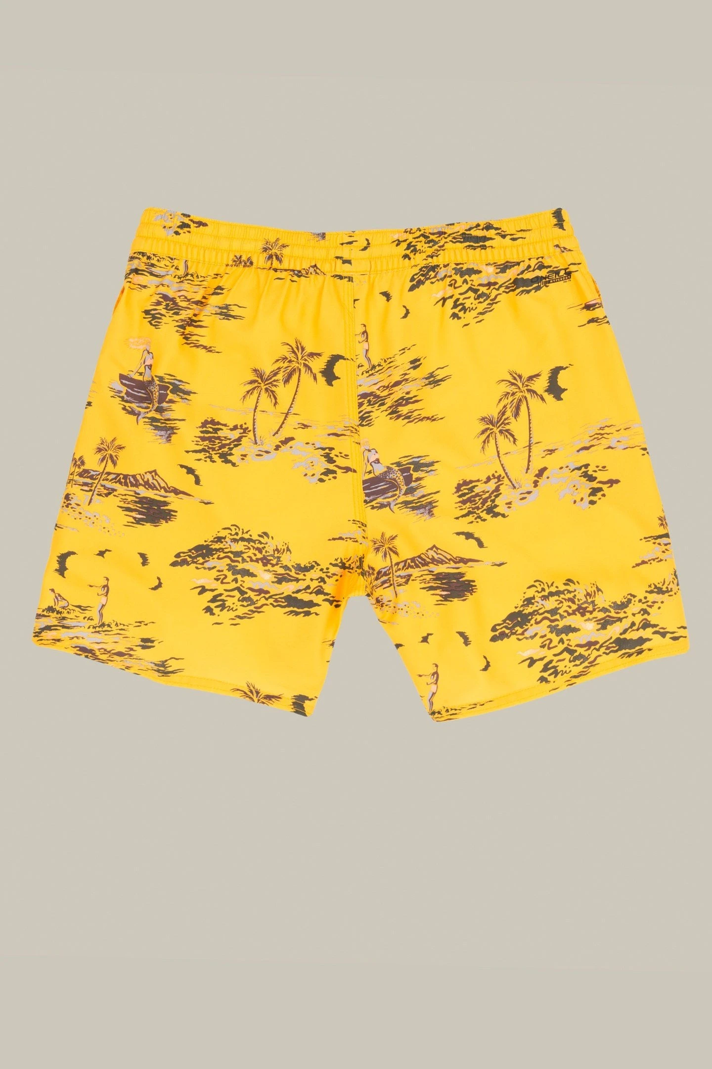 O'Neill TROPICAL SHORTS 5 O'Neill TROPICAL SHORTS - Image 3