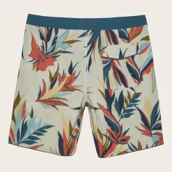 O'Neill QUARTERS CRUZER -O’Neill shop quarterscruzer sp0106031 bon b