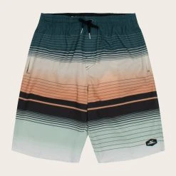 O'Neill KNOX 20" STRETCH VOLLEY